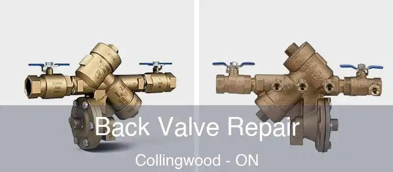Back Valve Repair Collingwood - ON