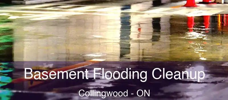 Basement Flooding Cleanup Collingwood - ON