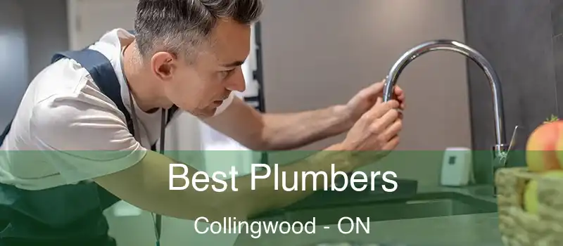  Best Plumbers Collingwood - ON