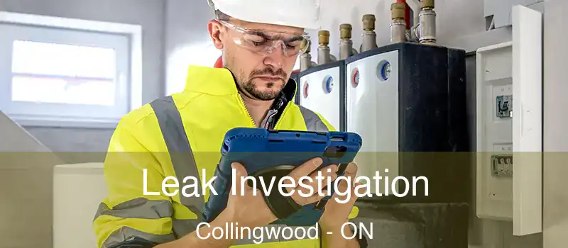  Leak Investigation Collingwood - ON