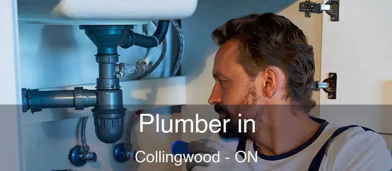  Plumber in Collingwood - ON