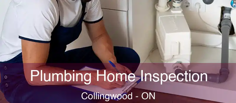 Plumbing Home Inspection Collingwood - ON