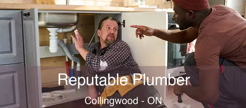 Reputable Plumber Collingwood - ON