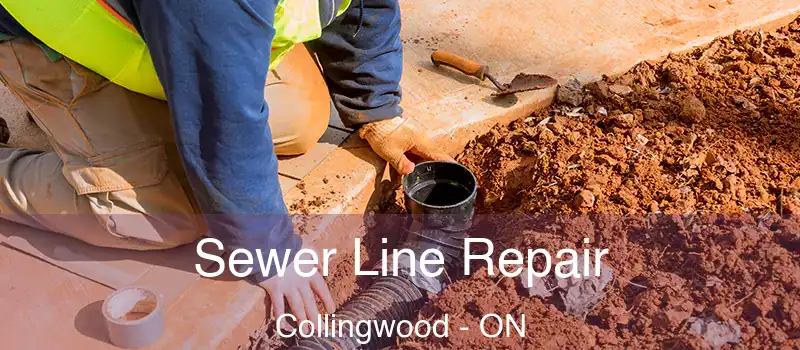  Sewer Line Repair Collingwood - ON