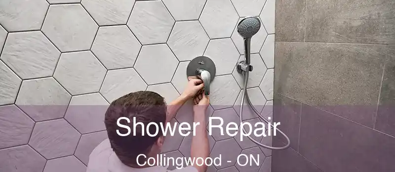 Shower Repair Collingwood - ON