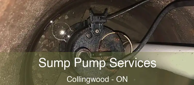  Sump Pump Services Collingwood - ON