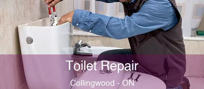  Toilet Repair Collingwood - ON