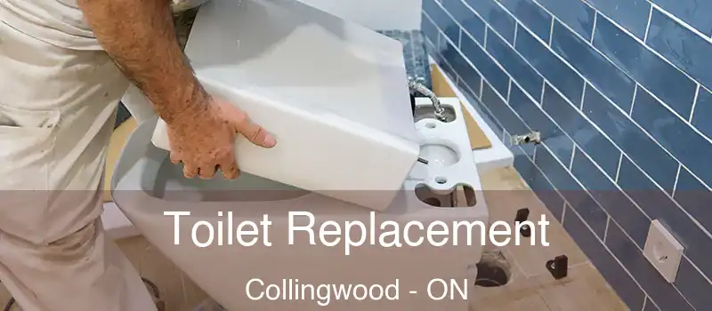  Toilet Replacement Collingwood - ON