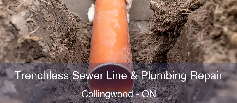  Trenchless Sewer Line & Plumbing Repair Collingwood - ON