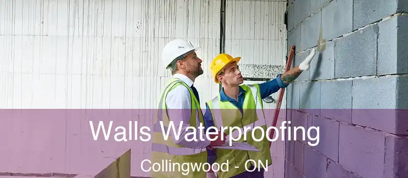 Walls Waterproofing Collingwood - ON