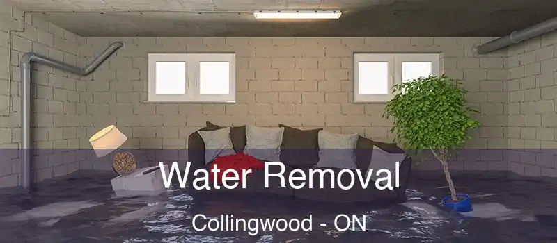  Water Removal Collingwood - ON